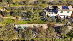 Casa Paradise